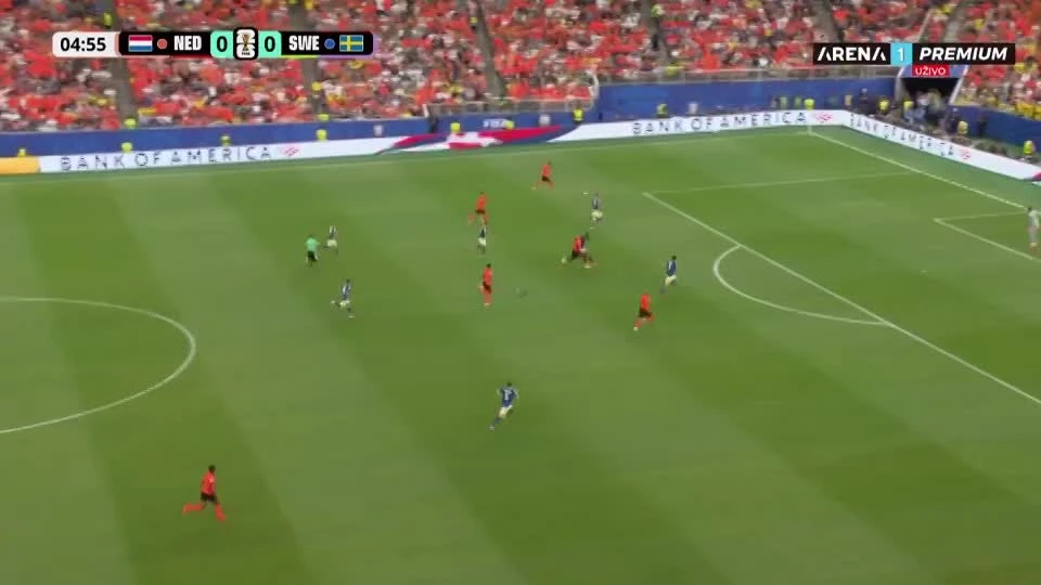 zaslepka skrotu video