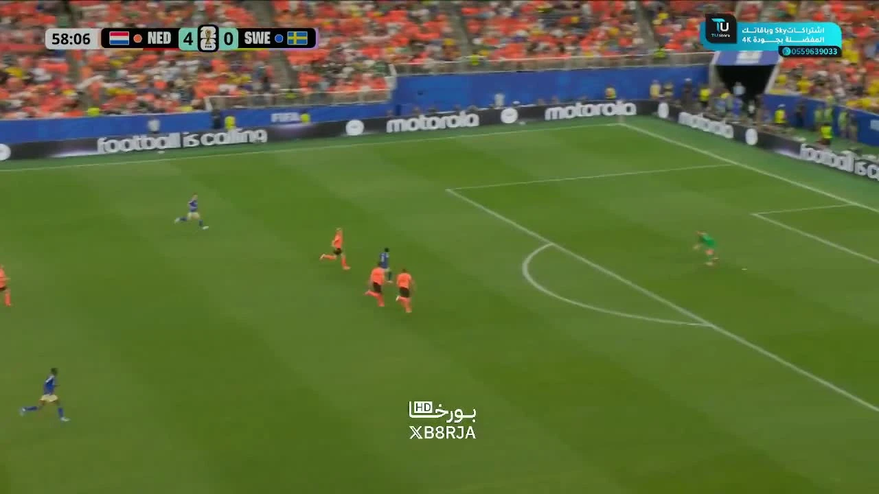 zaslepka skrotu video