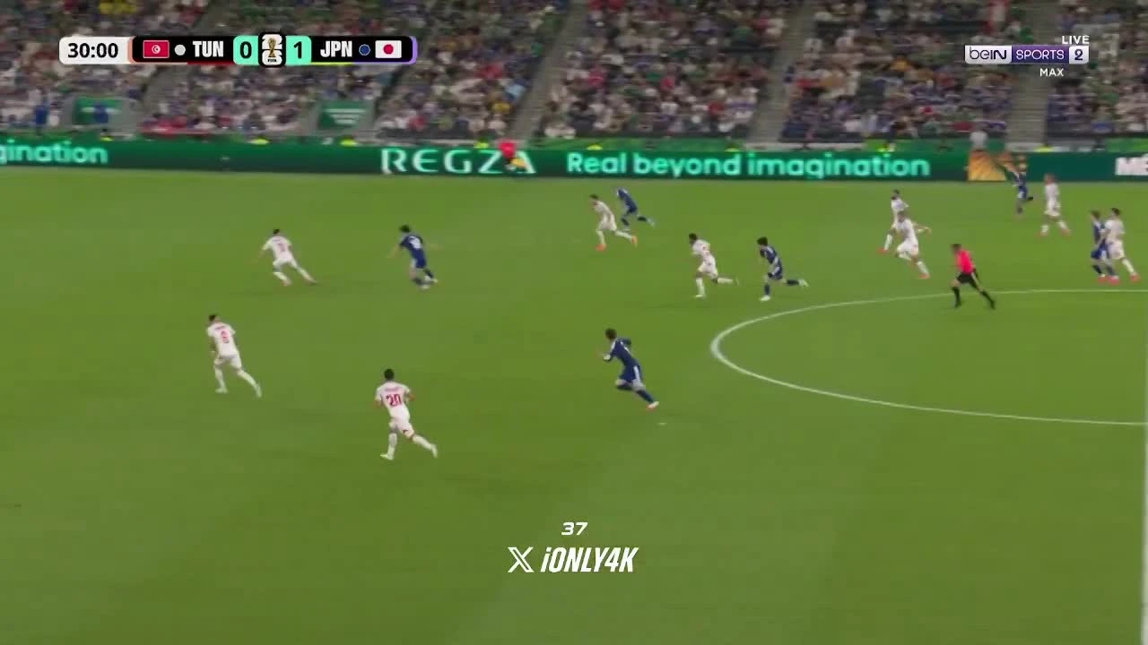 zaslepka skrotu video
