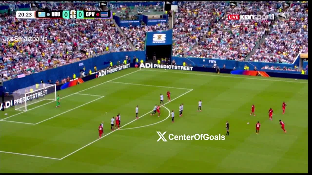 zaslepka skrotu video