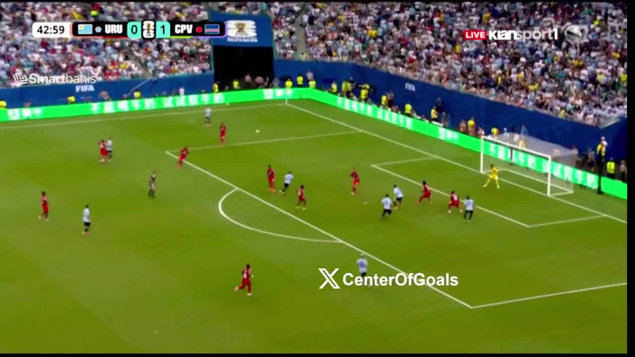 zaslepka skrotu video