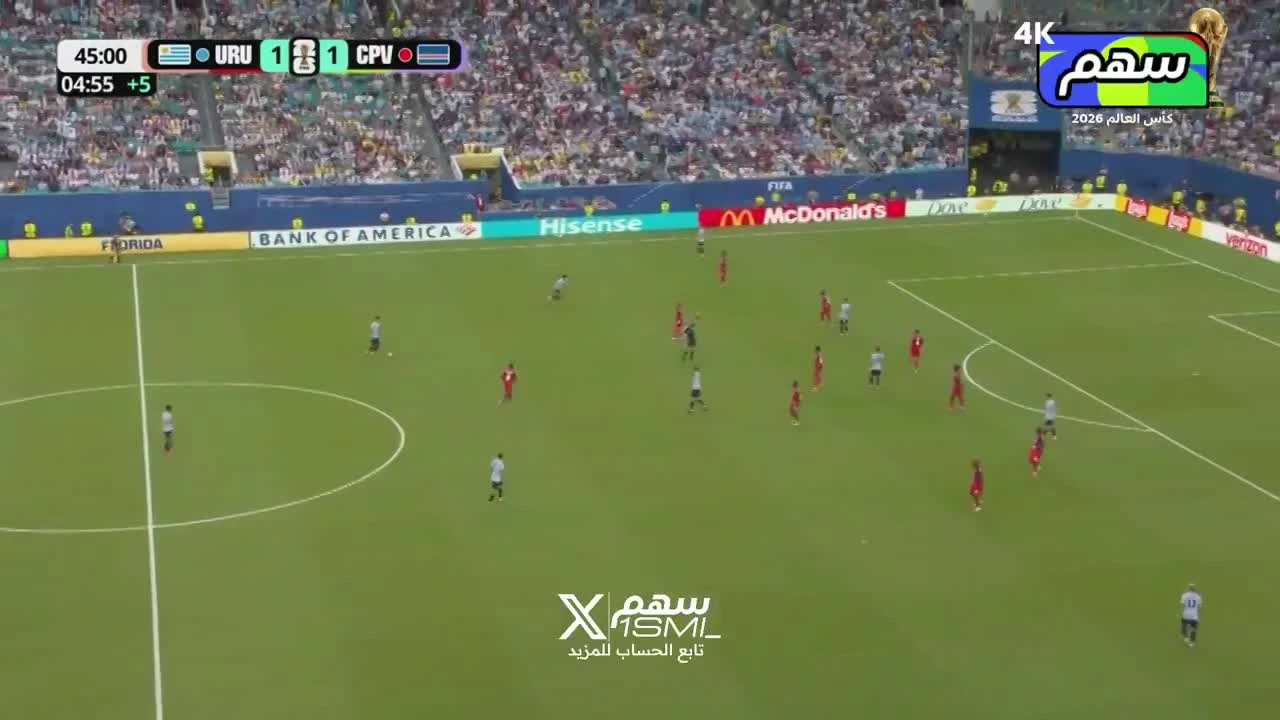 zaslepka skrotu video