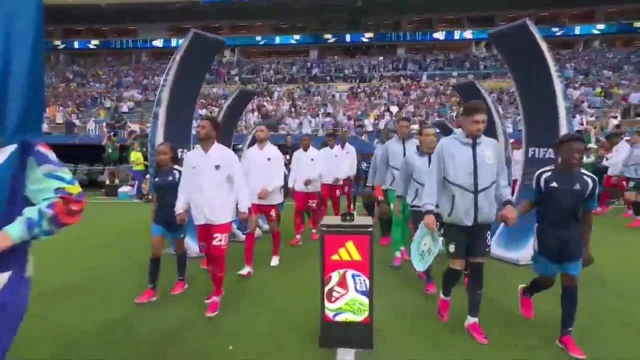 zaslepka skrotu video