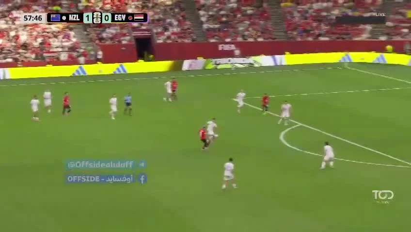 zaslepka skrotu video