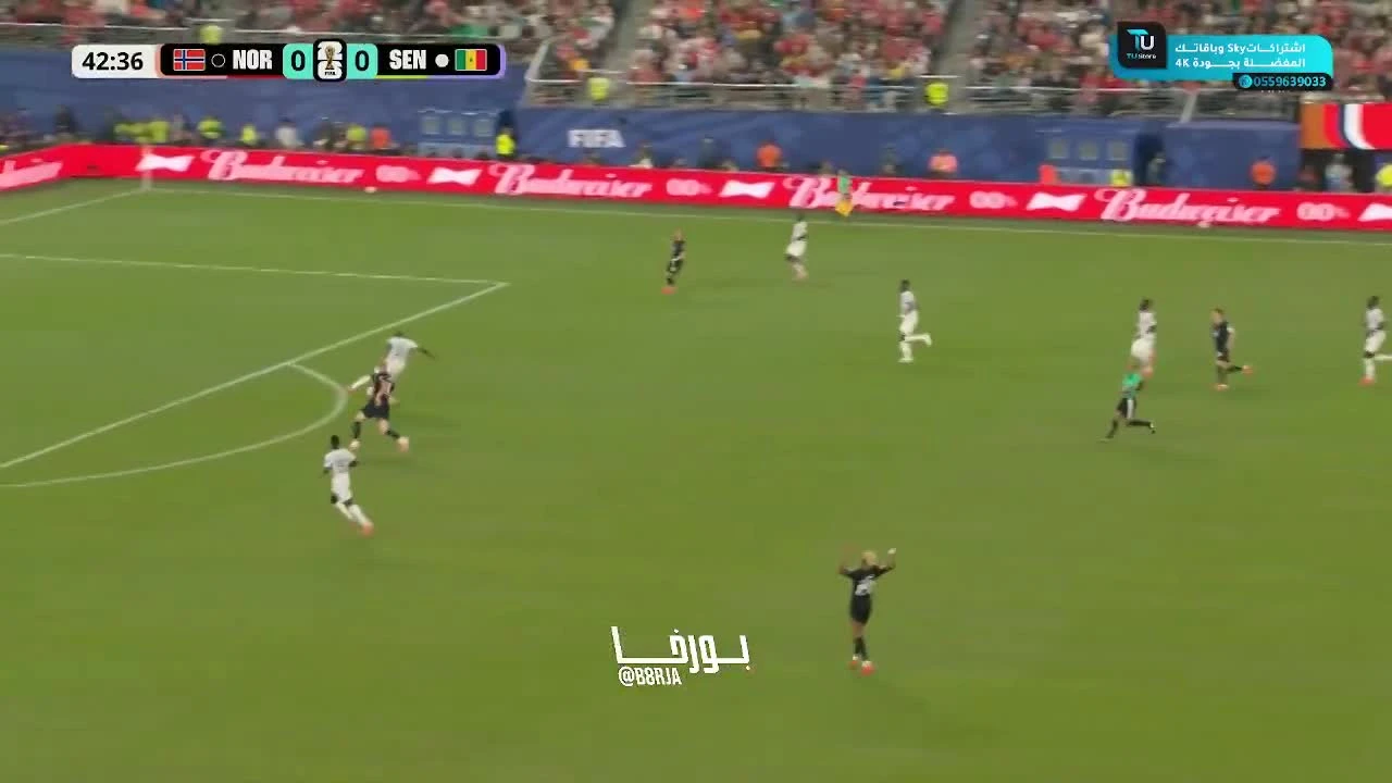 zaslepka skrotu video