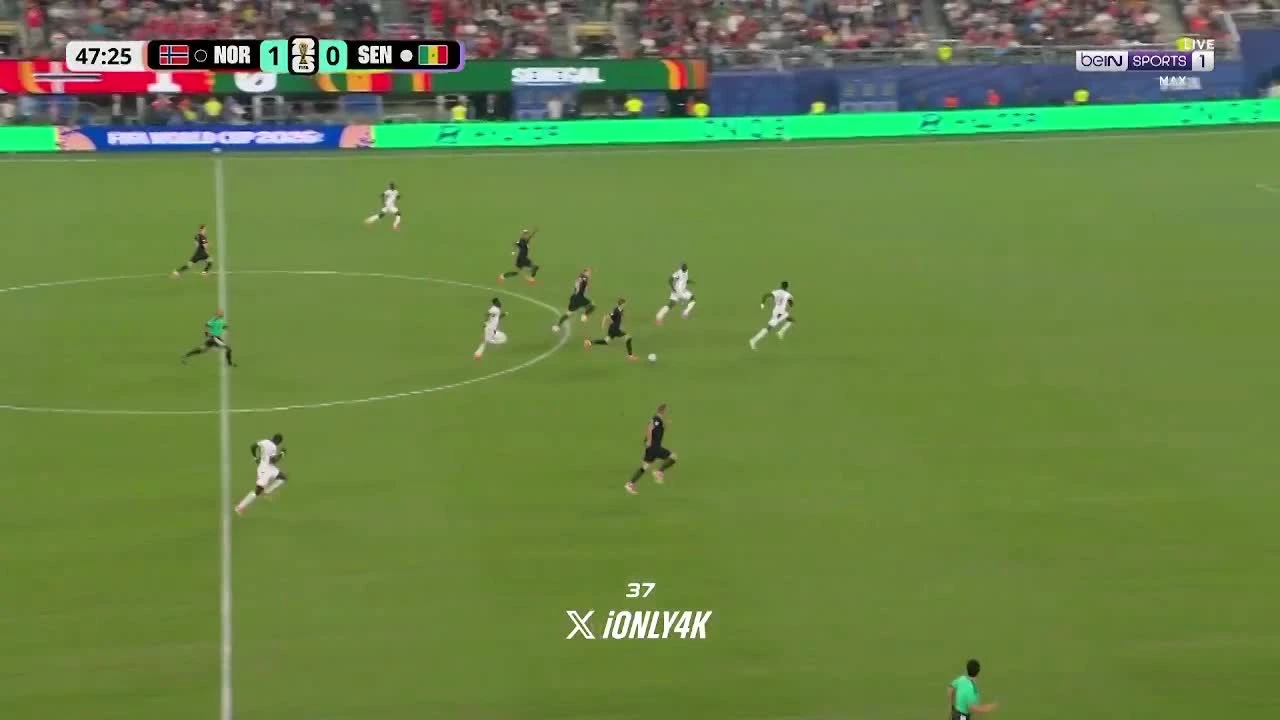 zaslepka skrotu video