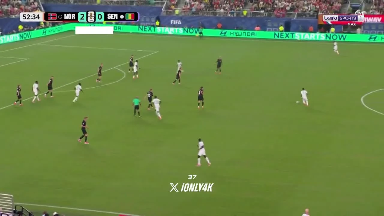 zaslepka skrotu video