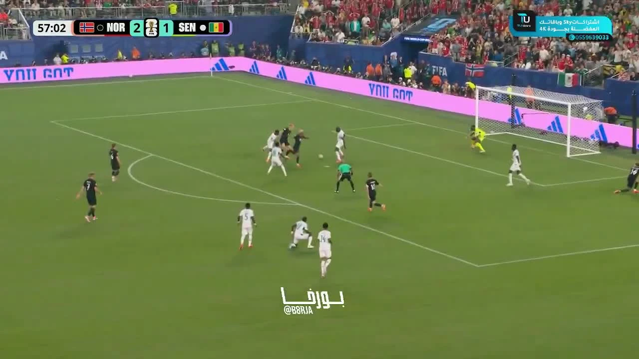 zaslepka skrotu video
