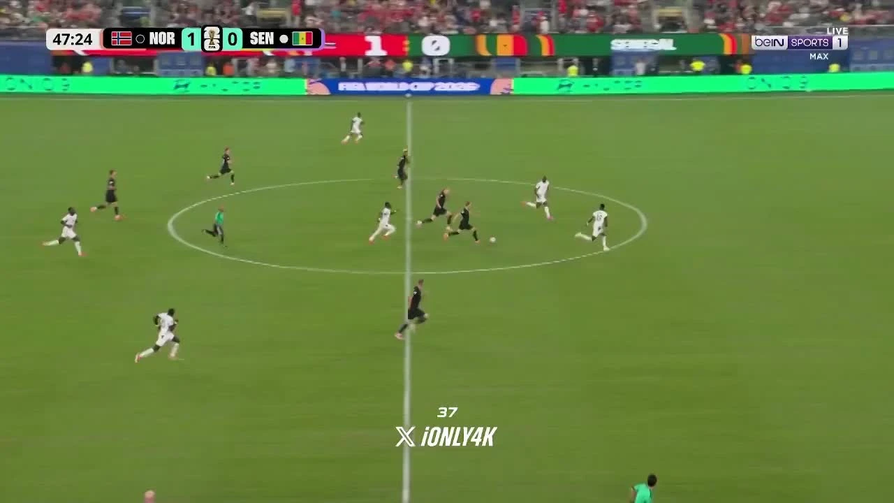 zaslepka skrotu video