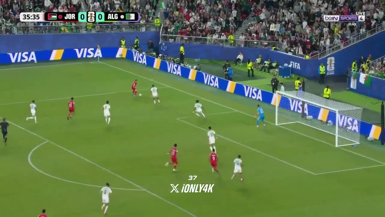 zaslepka skrotu video