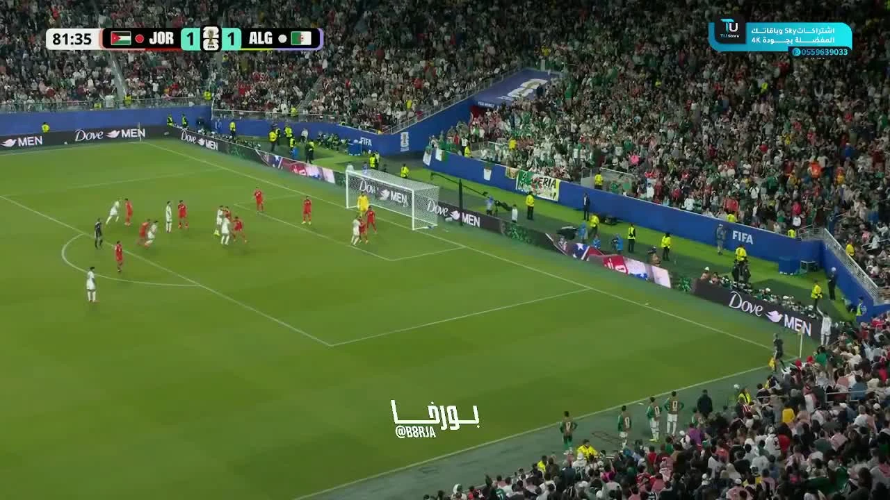 zaslepka skrotu video