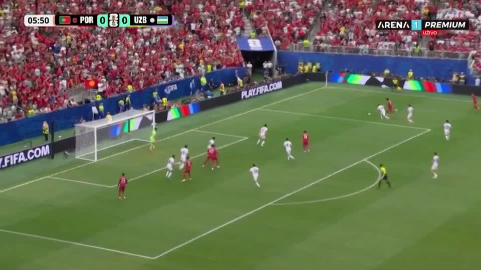 zaslepka skrotu video