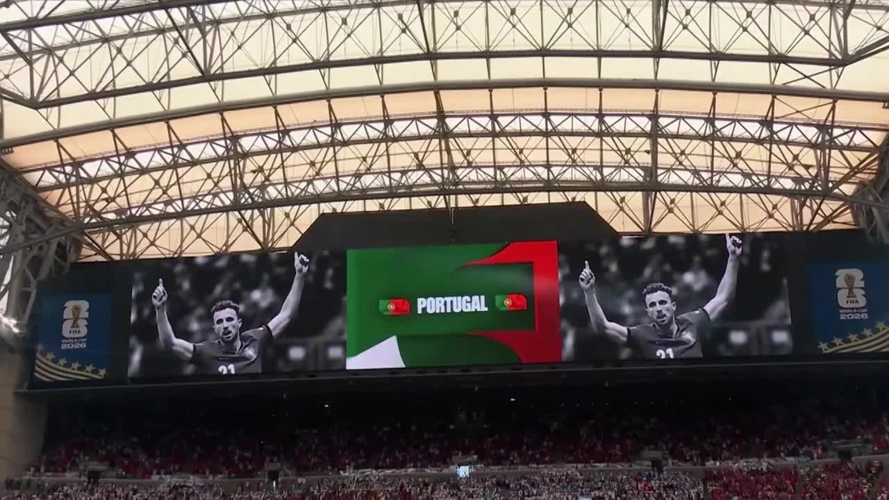 zaslepka skrotu video