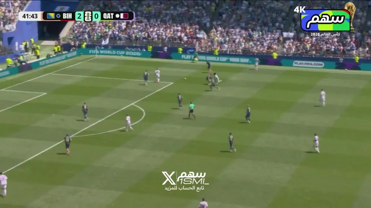 zaslepka skrotu video