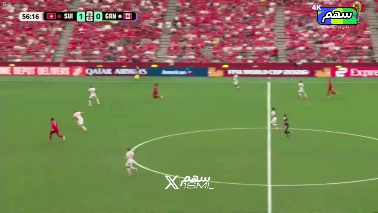 zaslepka skrotu video
