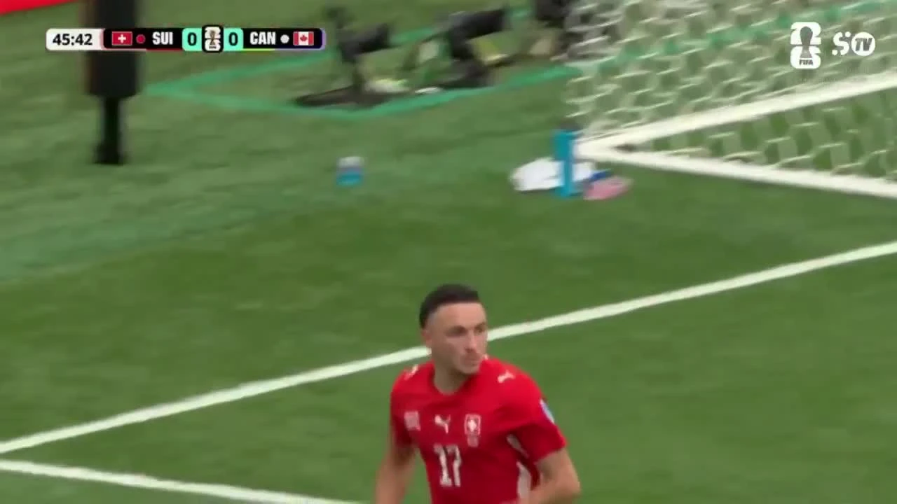 zaslepka skrotu video