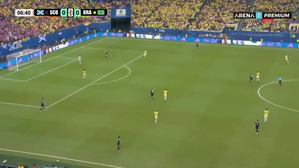zaslepka skrotu video