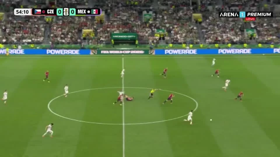 zaslepka skrotu video