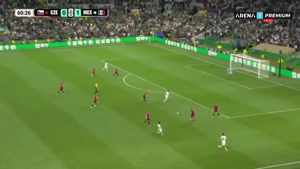 zaslepka skrotu video