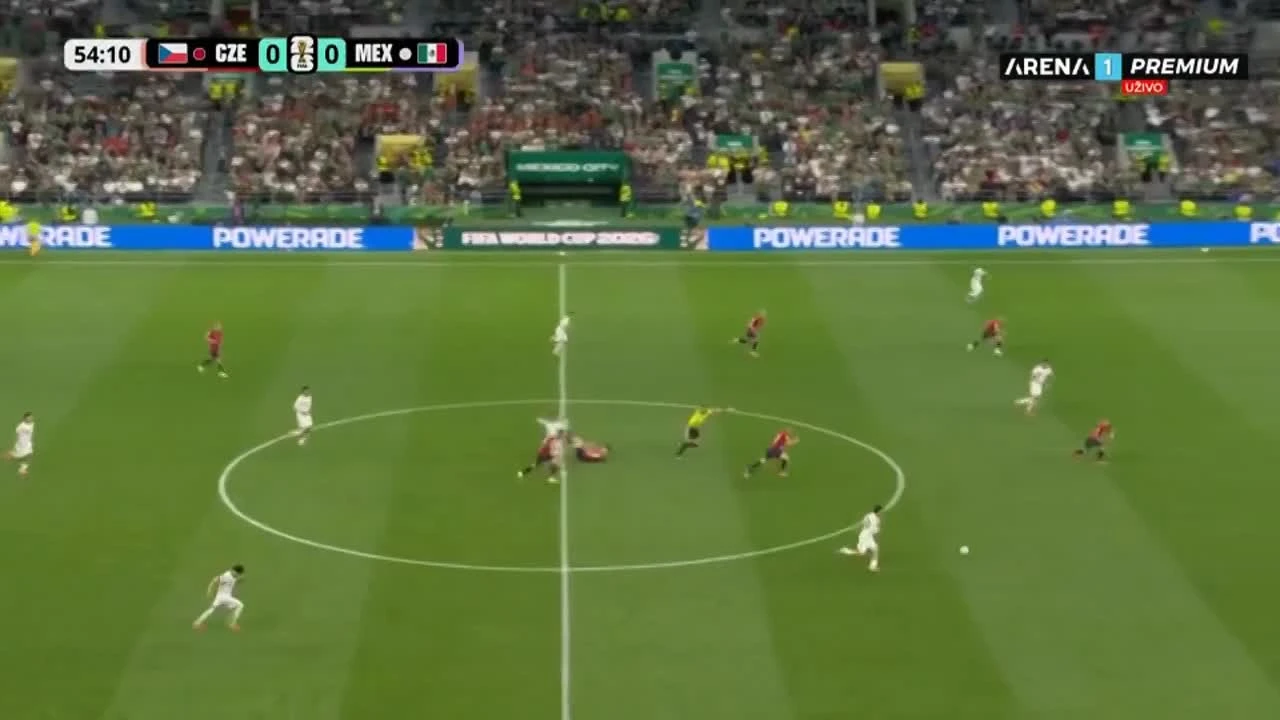 zaslepka skrotu video