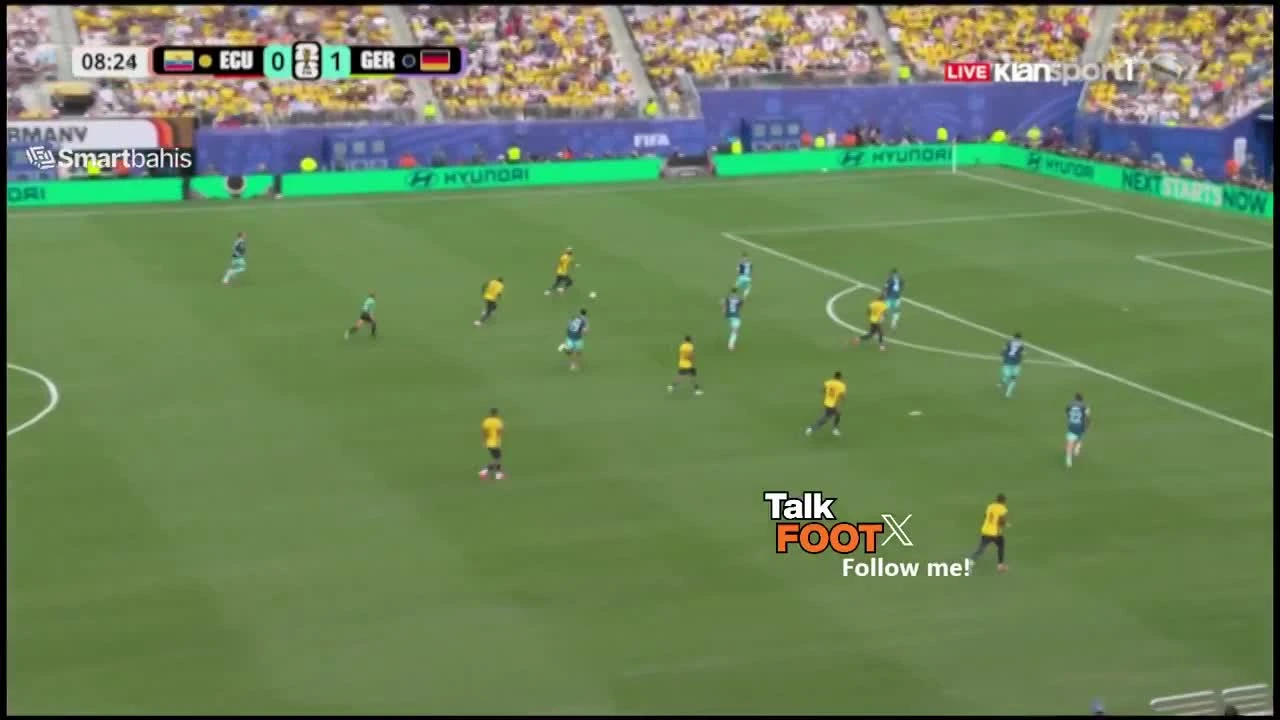 zaslepka skrotu video