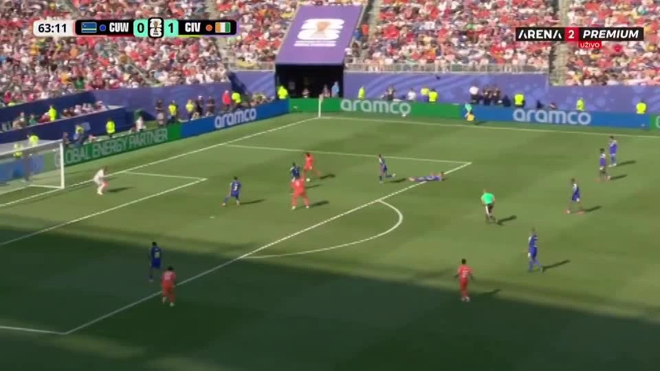 zaslepka skrotu video