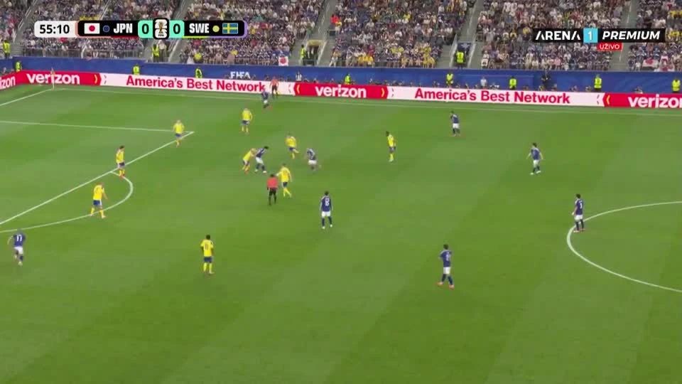 zaslepka skrotu video