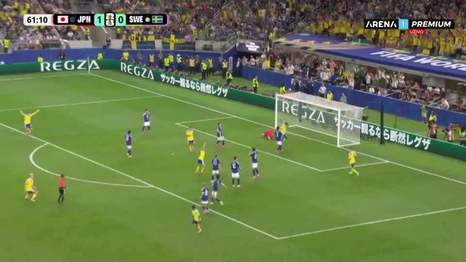 zaslepka skrotu video