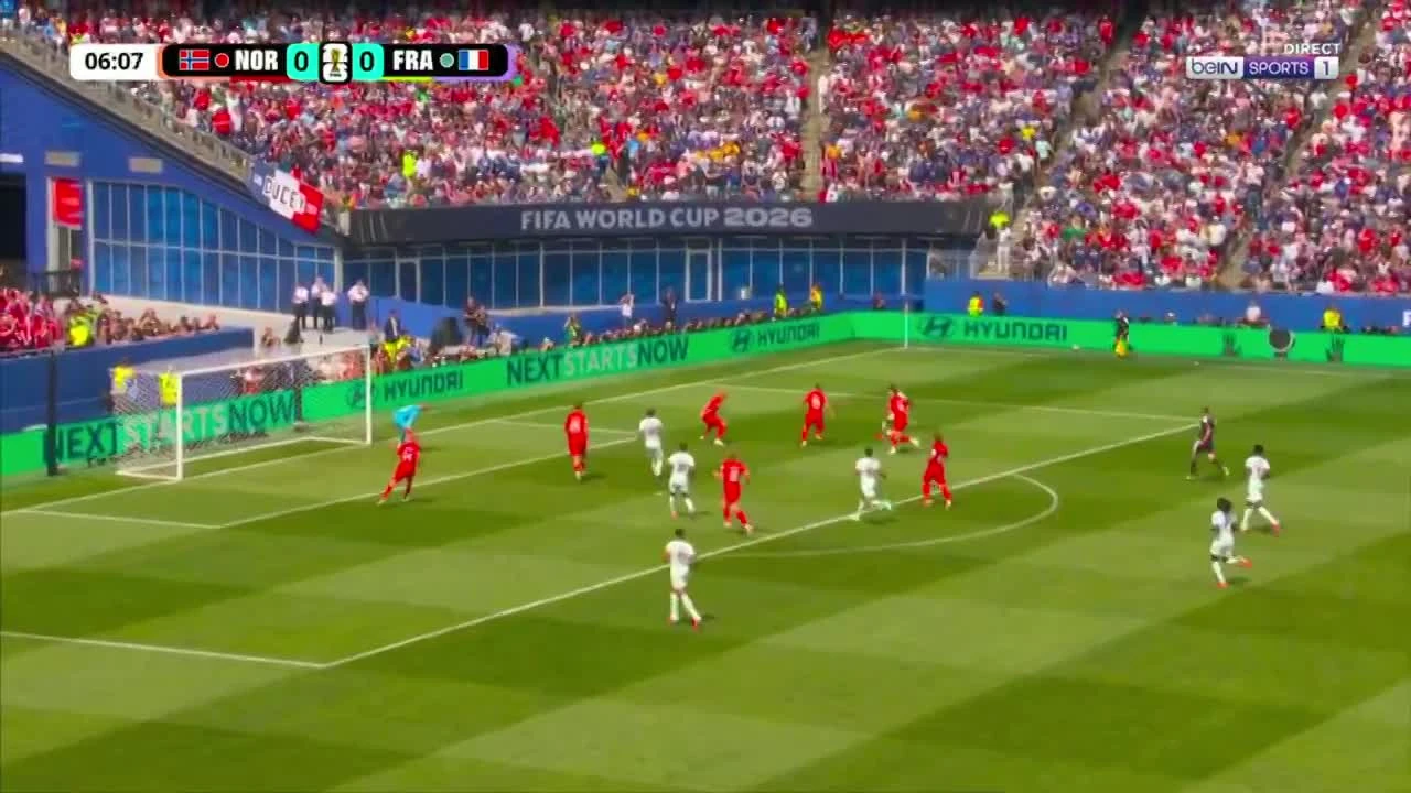 zaslepka skrotu video
