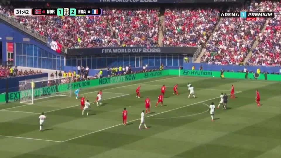zaslepka skrotu video