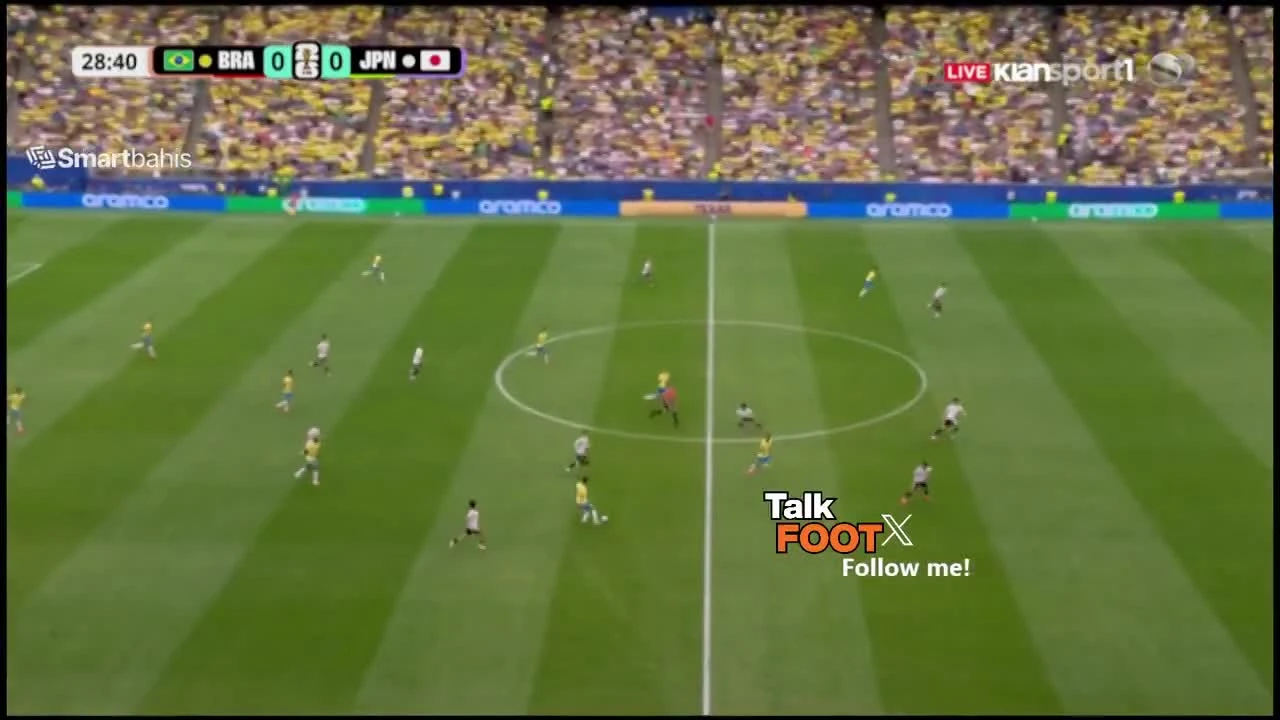 zaslepka skrotu video