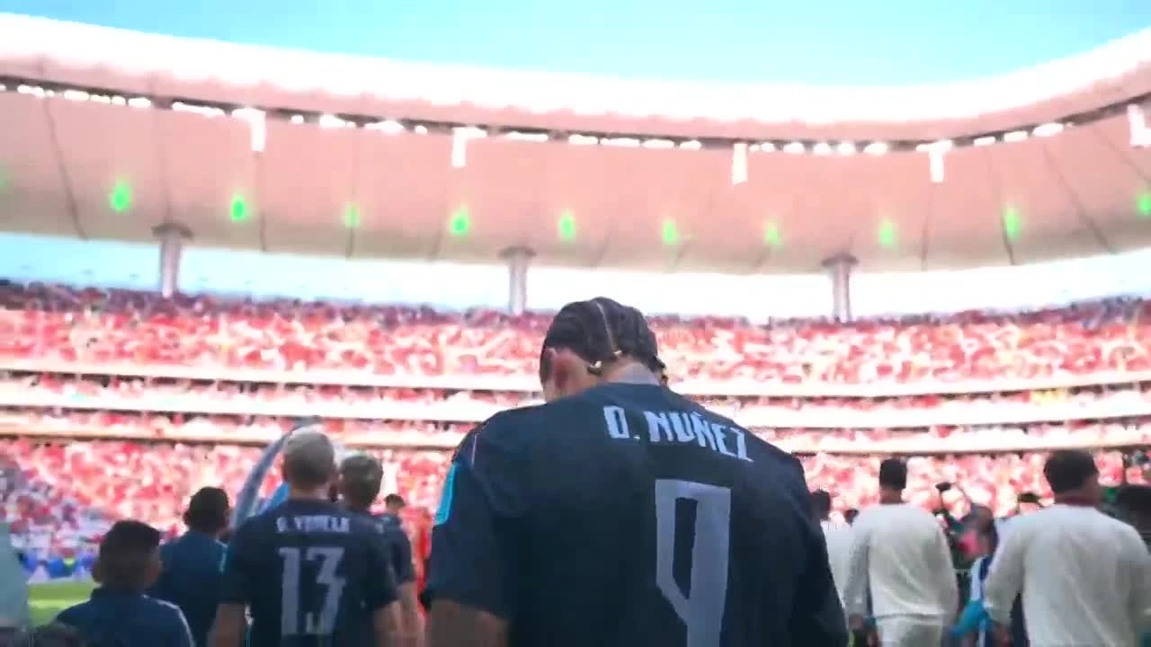 zaslepka skrotu video