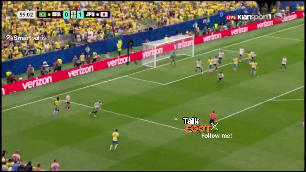 zaslepka skrotu video