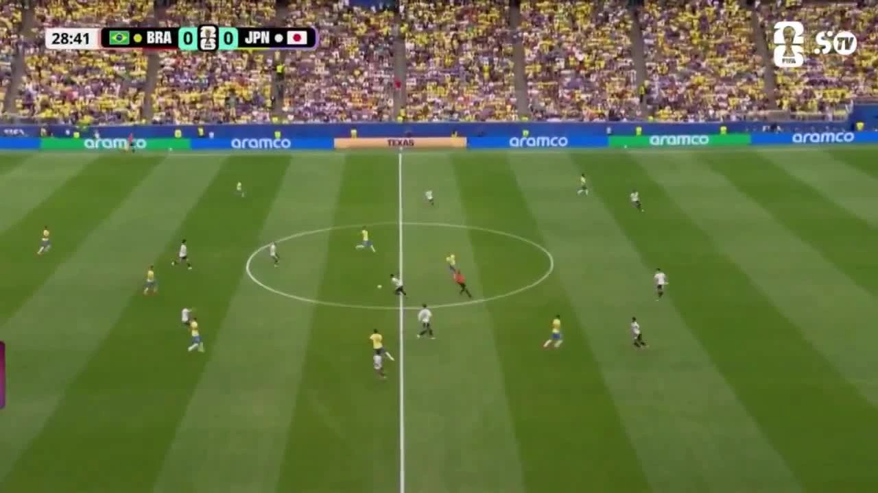 zaslepka skrotu video
