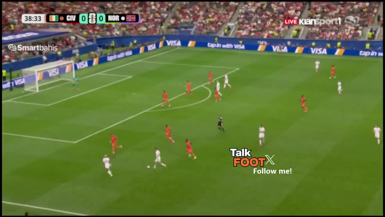 zaslepka skrotu video