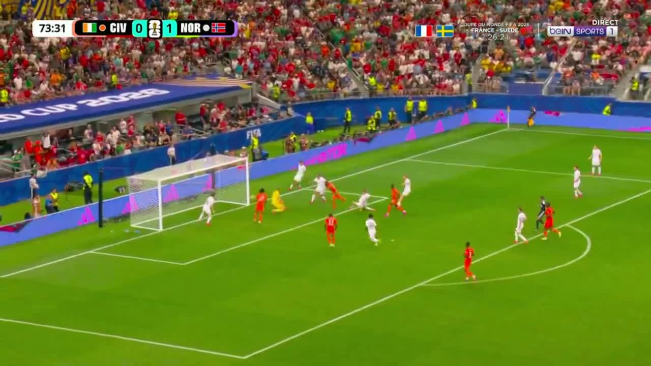 zaslepka skrotu video