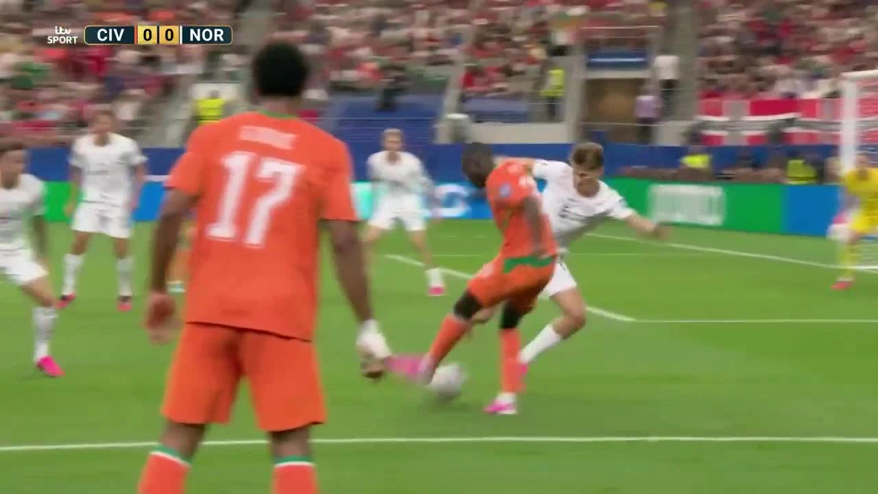 zaslepka skrotu video