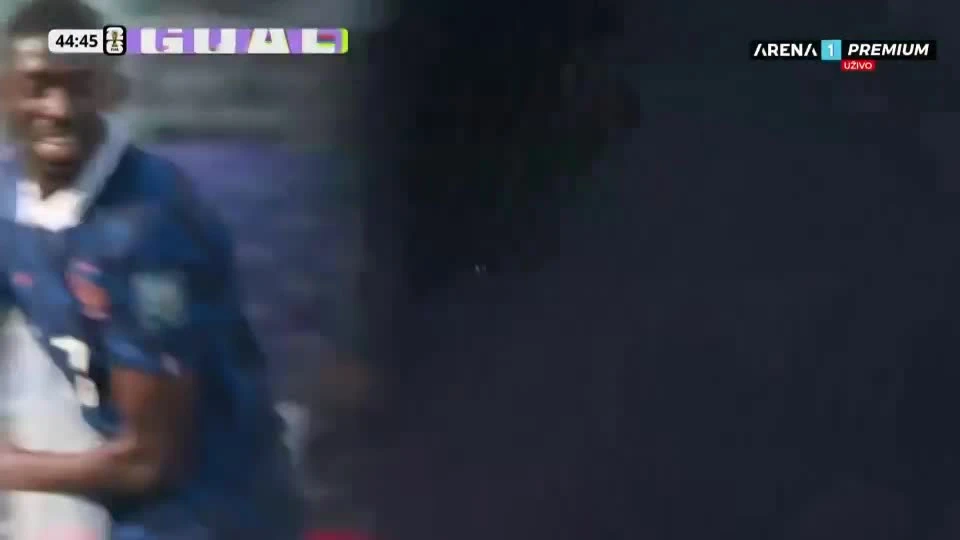 zaslepka skrotu video