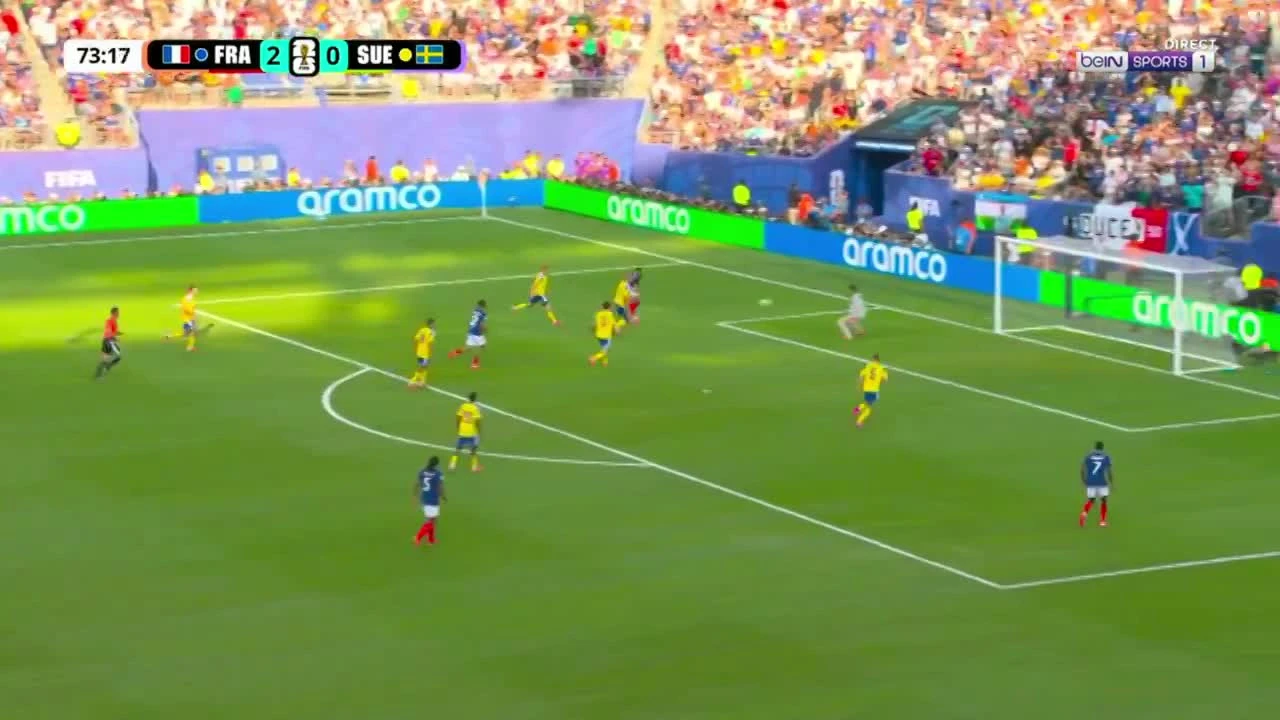 zaslepka skrotu video