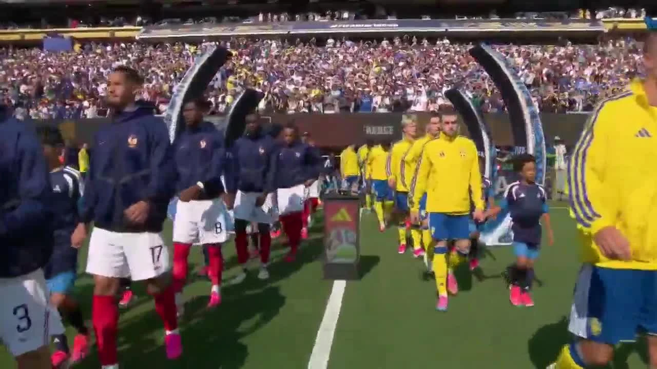 zaslepka skrotu video