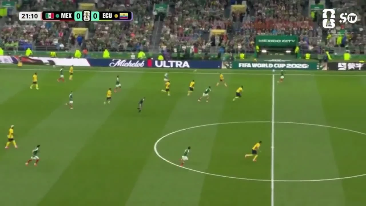 zaslepka skrotu video