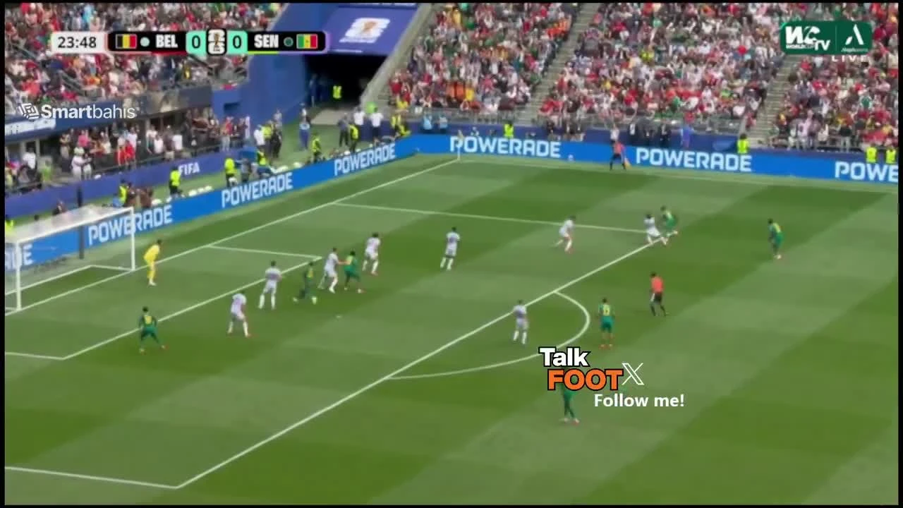 zaslepka skrotu video