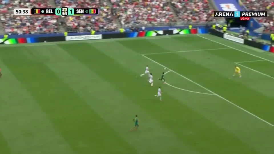 zaslepka skrotu video