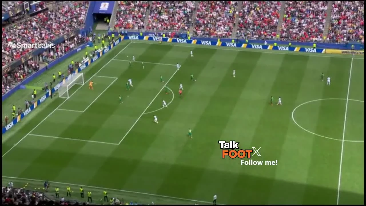 zaslepka skrotu video