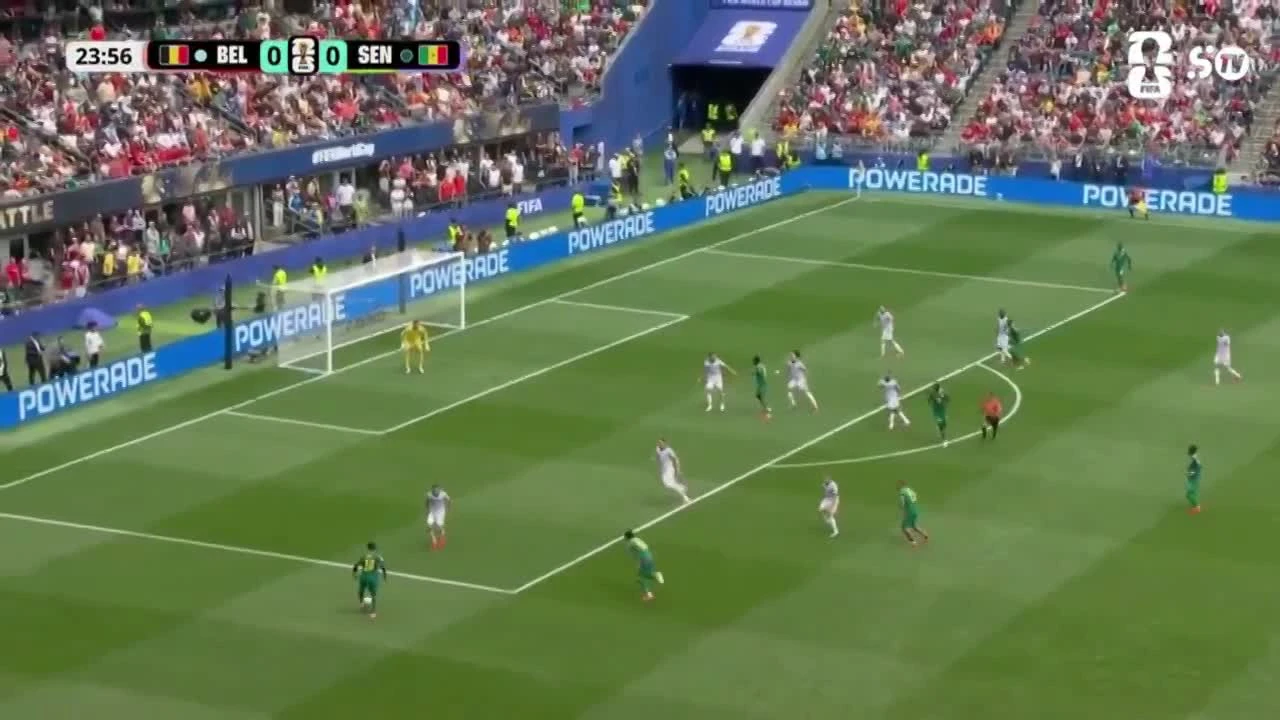 zaslepka skrotu video