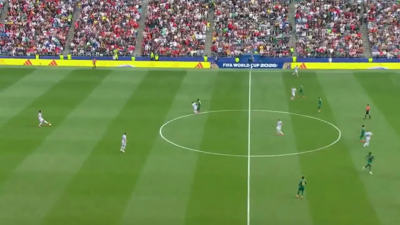 zaslepka skrotu video
