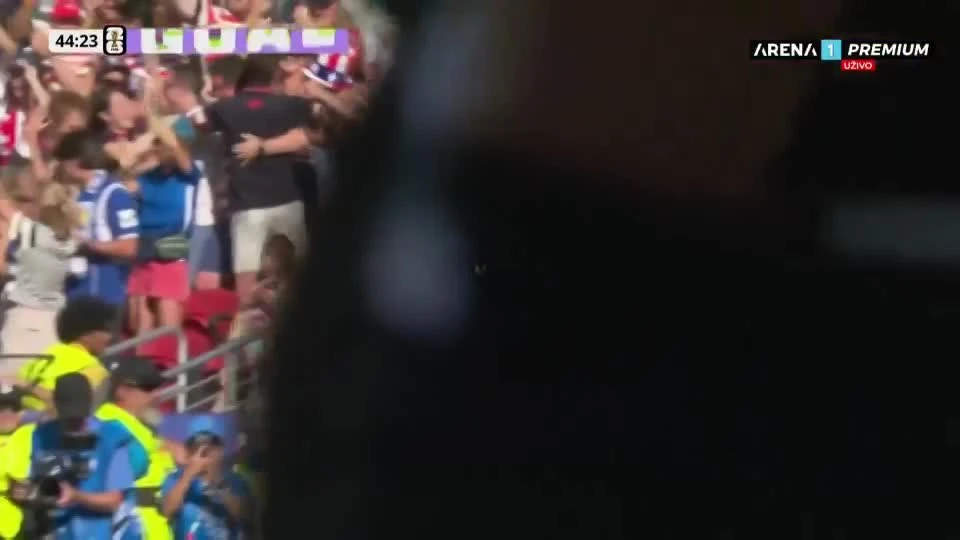 zaslepka skrotu video