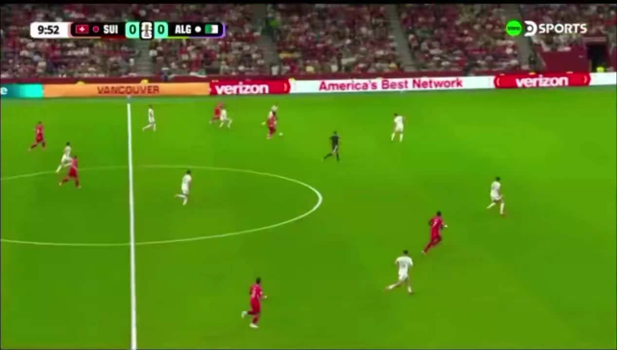 zaslepka skrotu video