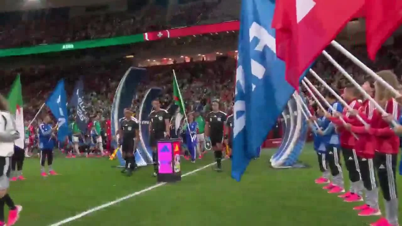 zaslepka skrotu video