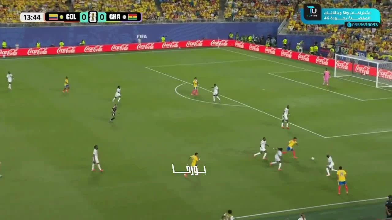 zaslepka skrotu video